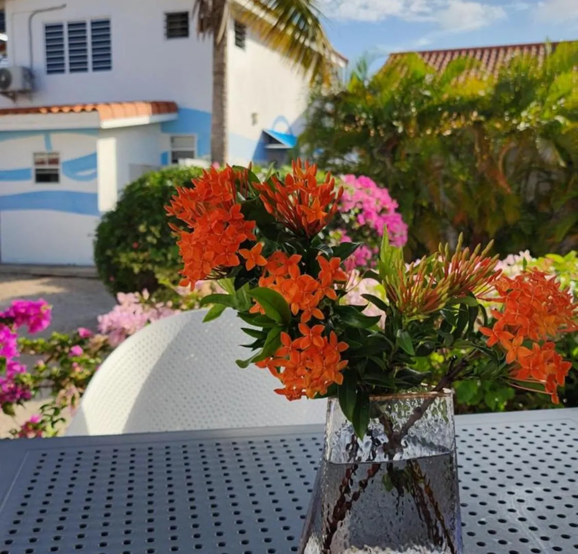 Ocean Teal Villa Marazul Westpunt